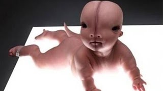 12 ЖИВОТНЫХ ГИБРИДОВ, КОТОРЫЕ СУЩЕСТВУЮТ НА САМОМ ДЕЛЕ