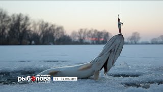 Календарь рыболова с 11 января по 18 января 2016 года от телеканала "Трофей"