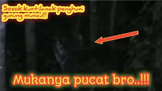 Misteri Hutan Parigi wetan