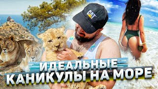 Едем на Море с Блогерами! Обзор и тест-драйв китайских авто