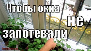 ПОЧЕМУ ПОТЕЮТ ОКНА?ЧТОБЫ ОКНА НЕ ПОТЕЛИ!!!
