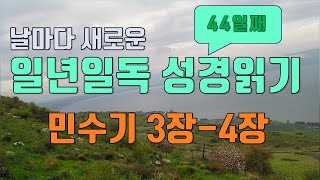 일년일독 성경읽기 연대순으로 읽기 44일째 민수기 3장-4장 성경통독