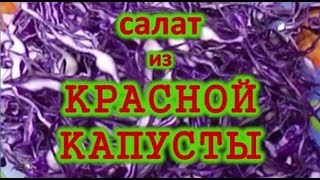 Салат из красной капусты. Рецепт. Низкокалорийный и полезный 100 гр.- 50ккал.