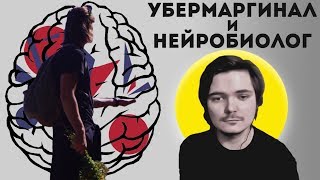 Интеллектуальный контент с нейробиологом