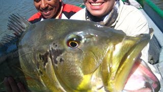 fishing colombia pesca pavon gigante rio bita vichada colombia