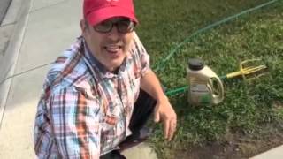 How To Use Scotts Turf Builder EZSeed + CONTEST!