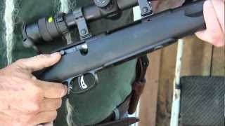 Savage Model 25 Walking Varminter in 17 Hornet - Gunblast.com