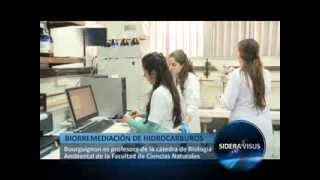 BIORREMEDIACIÓN DE HIDROCARBUROS - SIDERA VISUS