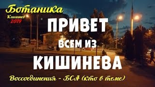 Ботаника Кишинев вечером, Воссоединения   Бульвар Советской Армии, лето 2019