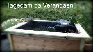Hagedam på verandaen!