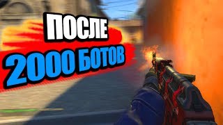 УБИЛ 2000 БОТОВ ПЕРЕД ММ ... ВОТ ЧТО ИЗ ЭТОГО ВЫШЛО.//ТЕСТ