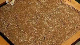 Кедропласт и кедровая комната