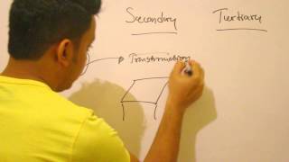 Primary, Secondary and Tertiary Sectors