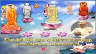 Khai thị Trích đoạn 39 (H.T Tinh Không, cư sĩ Diệu Âm và các Chư Tổ)