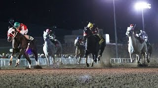 2019 AQHA Racing Challenge Update - Championships Edition