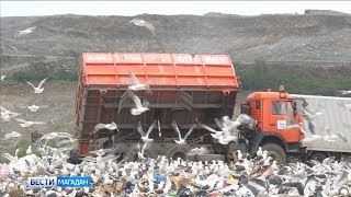 На Колыме один из самых низких мусорных тарифов в России