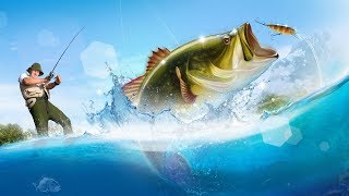Снасти для рыбалки. Удочка за 4000$. Оборудование для яхт. Оружейный магазин. Охота и рыбалка в США.