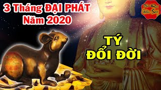 Gặp 3 Tháng ĐẠI PHÁT TÀI Này, Tuổi Tý Bùng Nổ Tài Lộc, Đổi Đời Giàu Sang, Làm 1 Tháng Tiêu Cả Năm