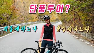 무주 반딧불 메디오폰도 | 단풍 명소 추천 | 오두재