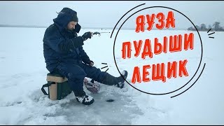 Водохранилище,Пудыши,Лещик.