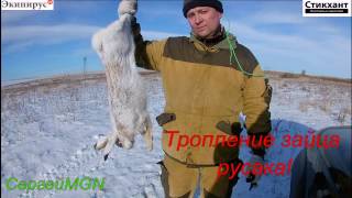 Охота на зайца русака (МР-155-поличок).