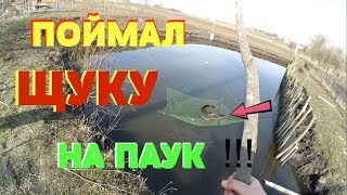 Рыбалка на ПАУК (ПОДЪЁМНИК, ХАПУГУ) в СОБСТВЕННОМ ПРУДУ !!!