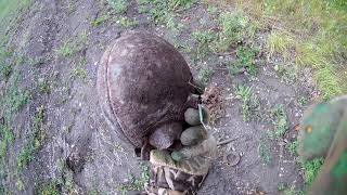 За металлом по посадке..