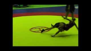 Lupte Libere 2014 - Campionatul Moldovei [AC]