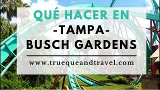 QUE HACER EN TAMPA: BUSCH GARDENS