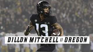 Dillon Mitchell || The Next OBJ || 2018 Oregon WR Highlightsᴴᴰ