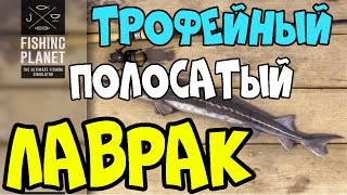 Fishing Planet прохождение | Трофейный Полосатый Лаврак | Калифорния, Дельта Сан-Хоакин | 2016