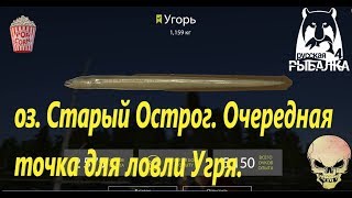 Русская Рыбалка 4. оз. Старый Острог. Точка для ловли Угря.