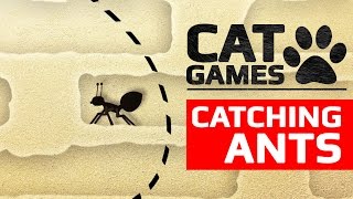 CAT GAMES - ? CATCHING ANTS (ENTERTAINMENT VIDEOS FOR CATS TO WATCH)