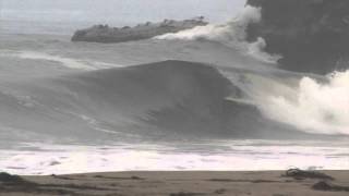 NOI SKIPPER SHRED SESH