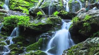 HikeMore Waterfall Tours