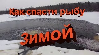 Аэрация пруда зимой в 6 Га и средней глубиной 1.5 метра.