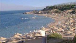 Egitto Sharm el Sheikh(coral bay)