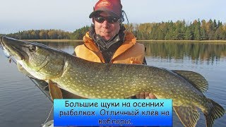 Обзор нескольких рыбалок. Большущие щуки на воблеры