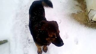 χιονια παντου  -8°c