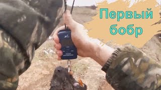 Охота на БОБРА с КАРАБИНОМ "Лось 145".Мой ПЕРВЫЙ бобр!!