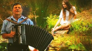 Но ты пришла как юность❤️Песня о любви под гармонь❤️Love Song accordion Играй гармонь Душевные песни