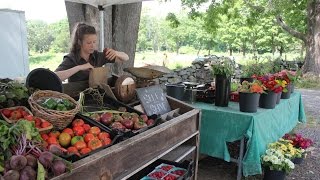 USA КИНО 936. Американские нелeгальные огороды. Сказочники из РЕН ТВ.
