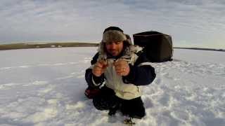 Funny Fishing Dancer - Ice Fishing Cicada Fishing Tips