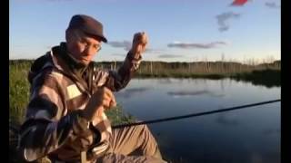 Секреты трудных водоемов 10  Карась, отводной поводок на махе