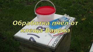 Обработка пчел от клеща Варроа (бипин)