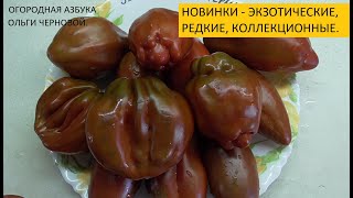НОВИНКИ 2020. Часть 2.