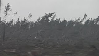 Rytel - pół roku po nawałnicy