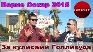 ЗА КУЛИСАМИ ГОЛЛИВУДА. Порно Оскар 2018, #8
