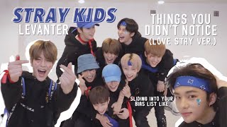 Things you did(n't) notice in Stray Kids Levanter dp (lovestay ver.)