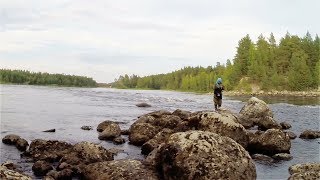 за ХАРИУСОМ . Рыбалка на  реке КЕМЬ . for GRAYLING